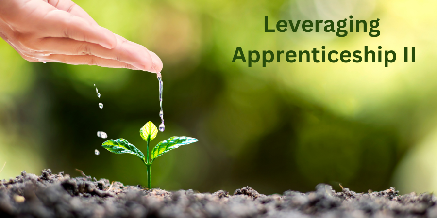Leveraging Apprenticeship Banner